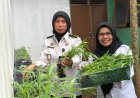 OPTIMALISASI LAHAN TERBATAS: BAPAS PURWOKERTO SUKSES PANEN KANGKUNG SEBAGAI WUJUD NYATA PROGRAM AKSELERASI PEMASYARAKATAN