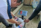 Panen Maggot Lapas Kelas IIA Purwokerto Dukung Ketahanan Pangan dan Pengelolaan Sampah Terpadu