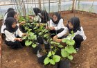 Dorong Kepedulian Lingkungan, Peserta Magang Laksanakan Perawatan Tanaman di Greenhouse Lapas Narkotika Purwokerto