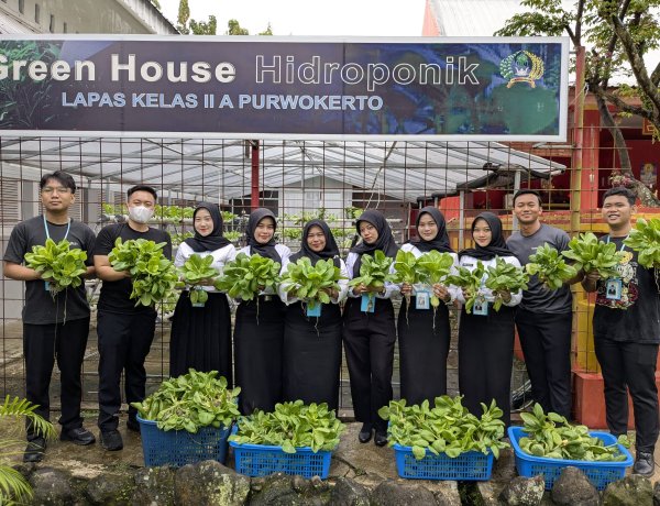 Lapas Kelas IIA Purwokerto Panen Pakcoy Hidroponik, Wujudkan Pembinaan Kemandirian dan Ketahanan Pangan